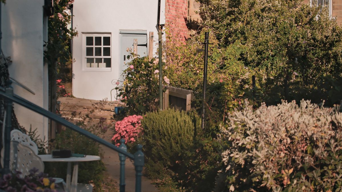 Designing a Low Maintenance Border for Year Round Interest